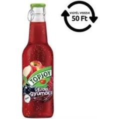 Top Joy 0,25l Erdeigyümölcs  /24/+DRS